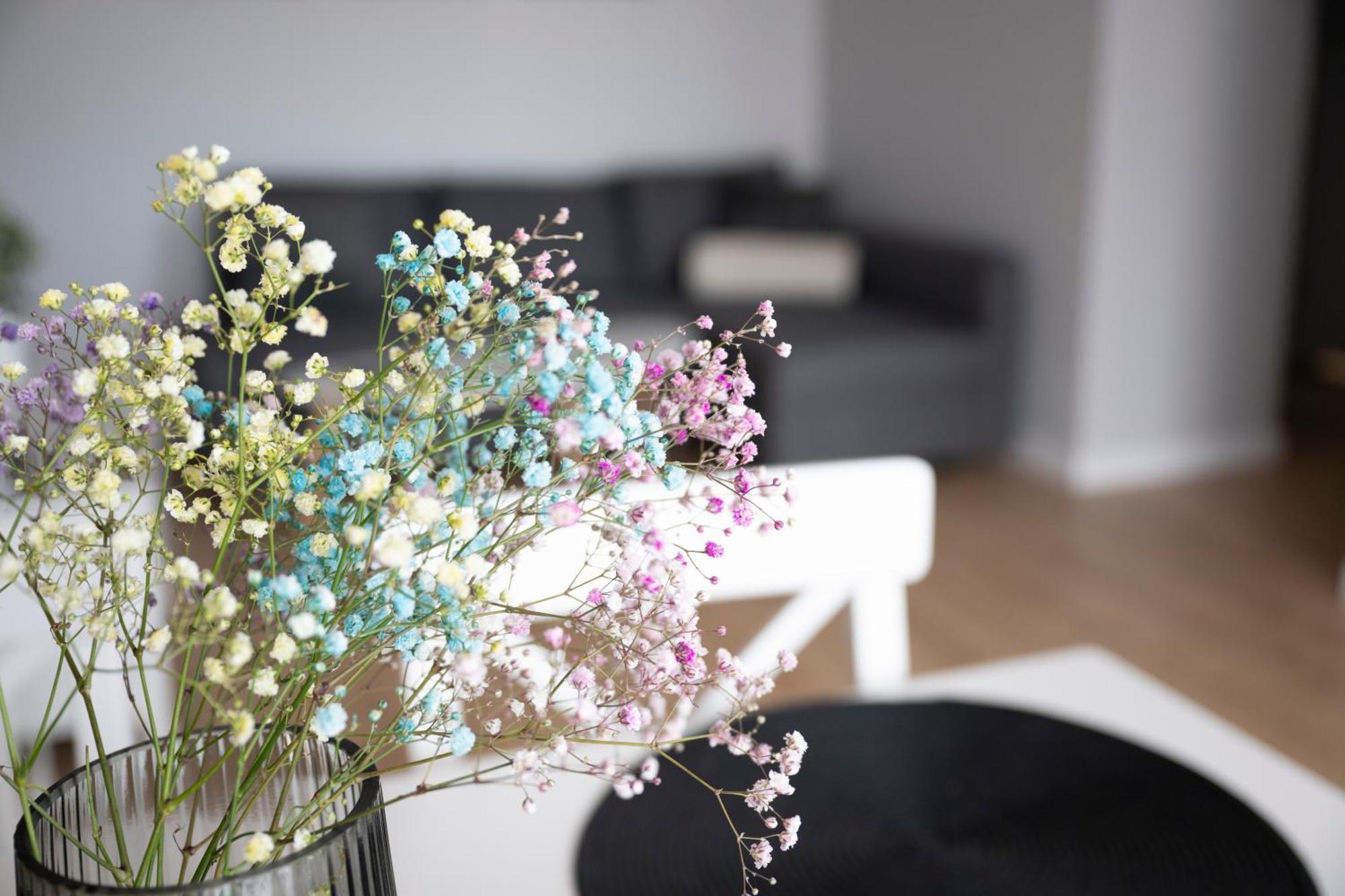 Apartamenty Deluxe Danzica Esterno foto